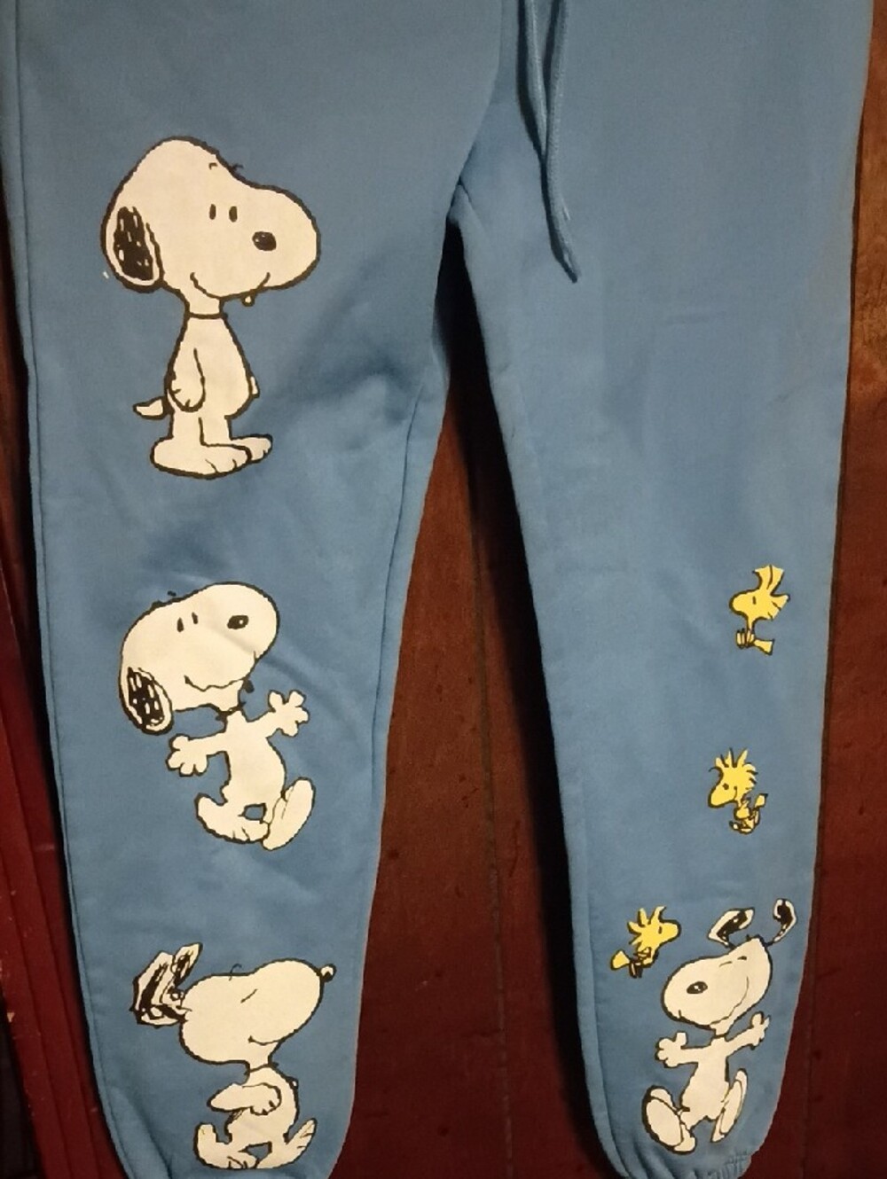 Peanuts Light Blue Snoopy & Woodstock Joggers - Picture 3 of 4